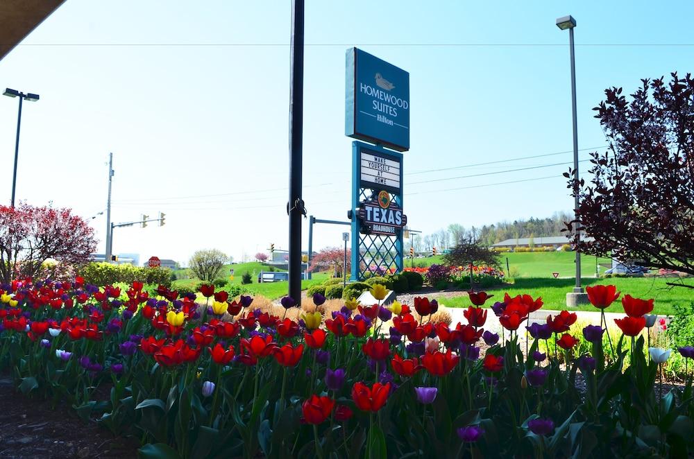 Homewood By Hilton Reading-wyomissing Hotel Wyomissing